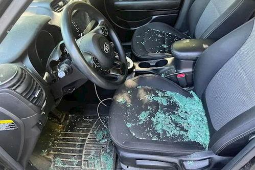 国产车防盗视频,视频揭秘防盗黑科技