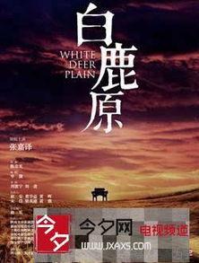 国产月亮视频,揭秘我国航天科技新成就