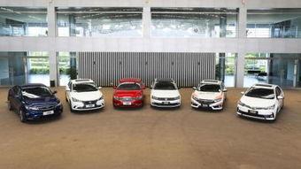 国产lv试驾视频,驾驭新国潮，体验非凡驾驭之旅