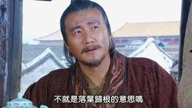 国产神剧解说合集视频