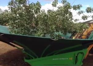 国产摘果神器视频,革新农业采摘效率的智能利器