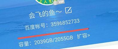 国产短视频合集百度云,百度云带你领略创意无限